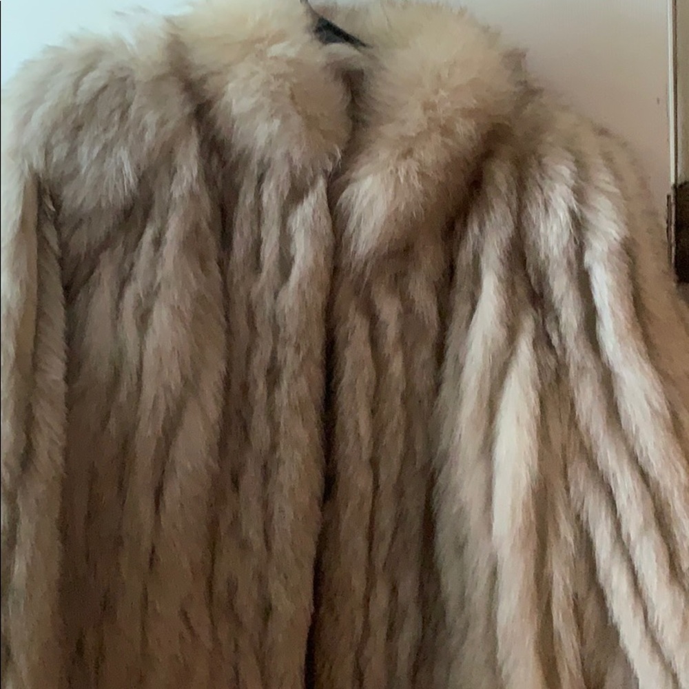 SAGA FOX furs